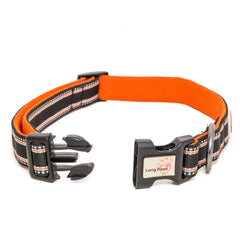 Black And Orange Comfort Collection Padded Dog Collar