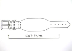 Whippet collar size guide