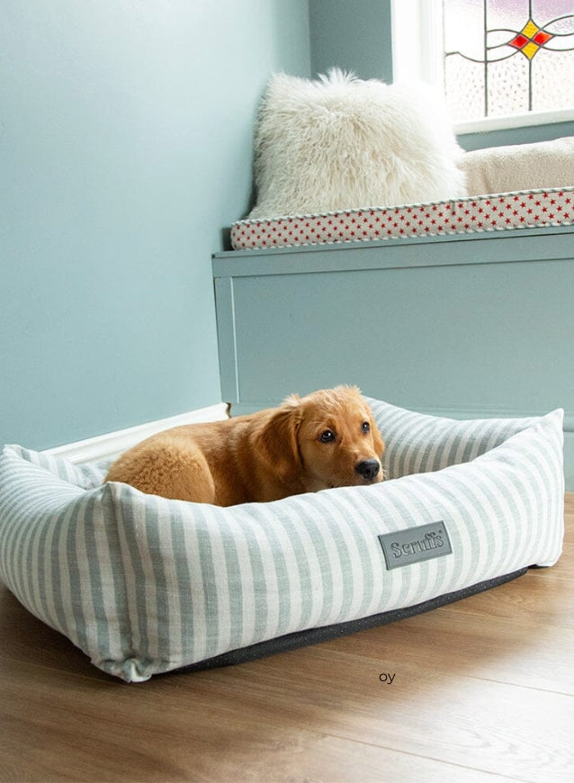 LUXURY DOG BEDS