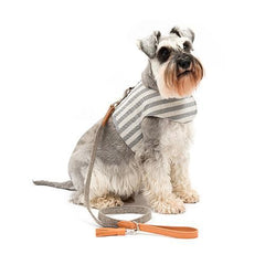 Luxury Flint Stripe Brushed Cotton Dog Harness by Mutts and Hounds