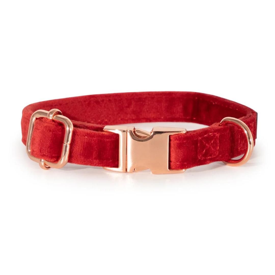 Red dog collar with bow new arrivals