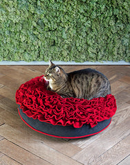 Luxury Rose Dog Pillow Bed