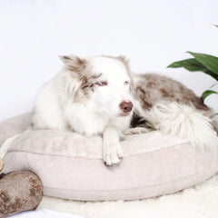 Luxury Soft Sand Round Cushion Dog Bed - Can Be Personalised by Miaboo