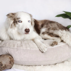 Luxury Soft Sand Round Cushion Dog Bed - Can Be Personalised by Miaboo