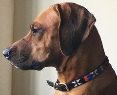 Luxury Leather Beaded Dog Collars