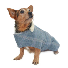 Minkeys Tweed Polo Tweed Dog Coat