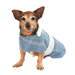 Minkeys Tweed Polo Tweed Dog Coat