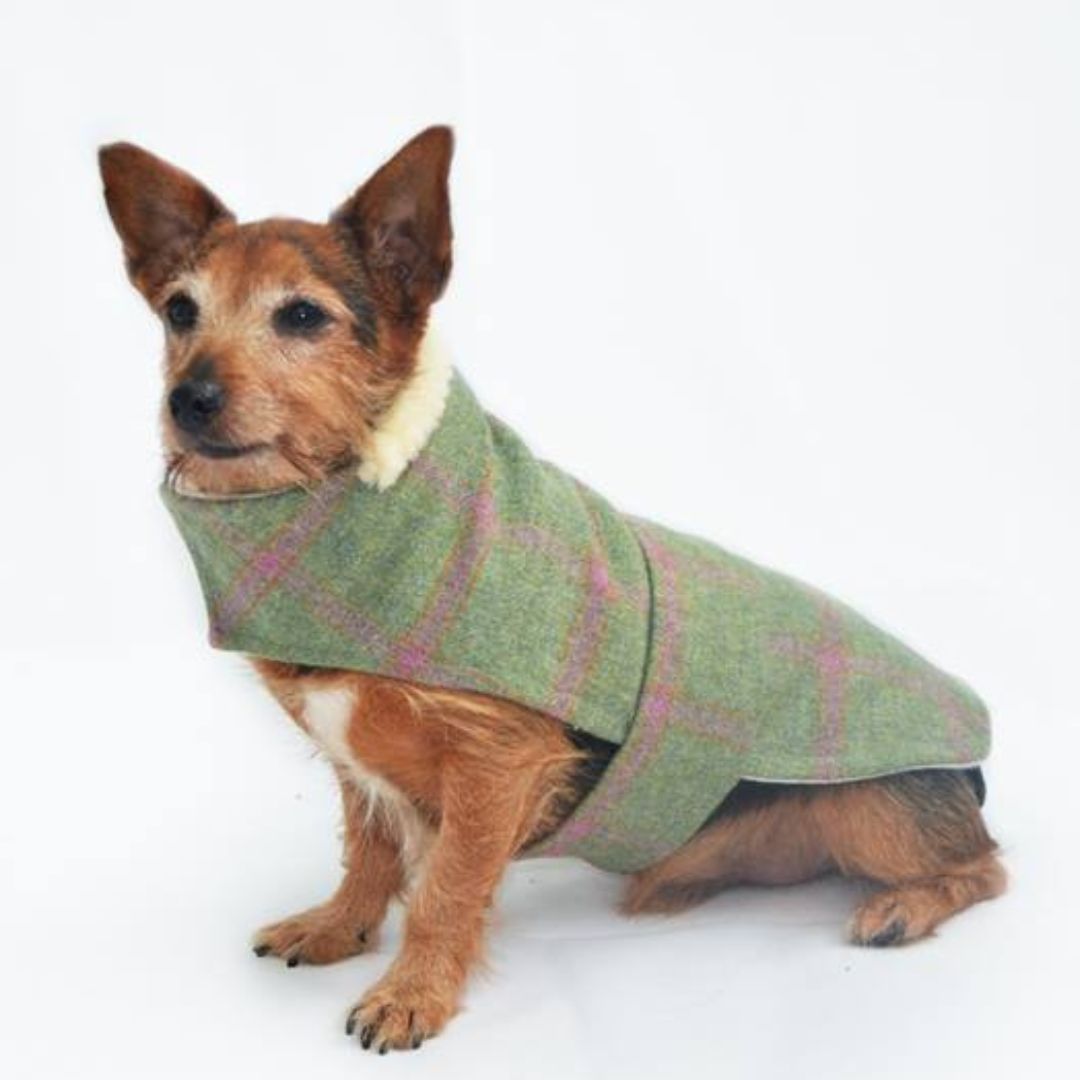 Minkeys Tweed Raspberry Tweed Dog Coat