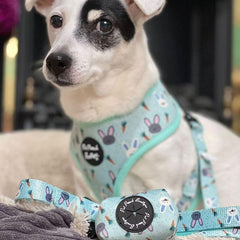 Mint Choc Chip Easter Bunny Dog Harness | Pet Pooch Boutique