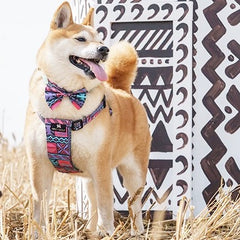 Mud Cloth Dog Harness by Hiro and Wolf | Vegan Dog Harness