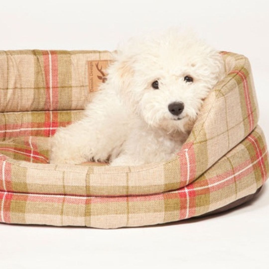 Newton Moss Slumber Dog Bed by Danish Design