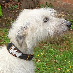 Luxury Beaded Leather Greyhound Dog Collar