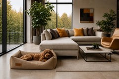 Orthopaedic Corduroy Dog Bed DECO by Bowl & Bone
