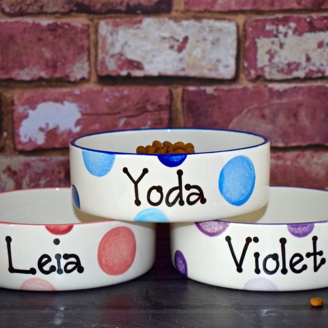 Personalised Ceramic Spotty Dog Bowls
