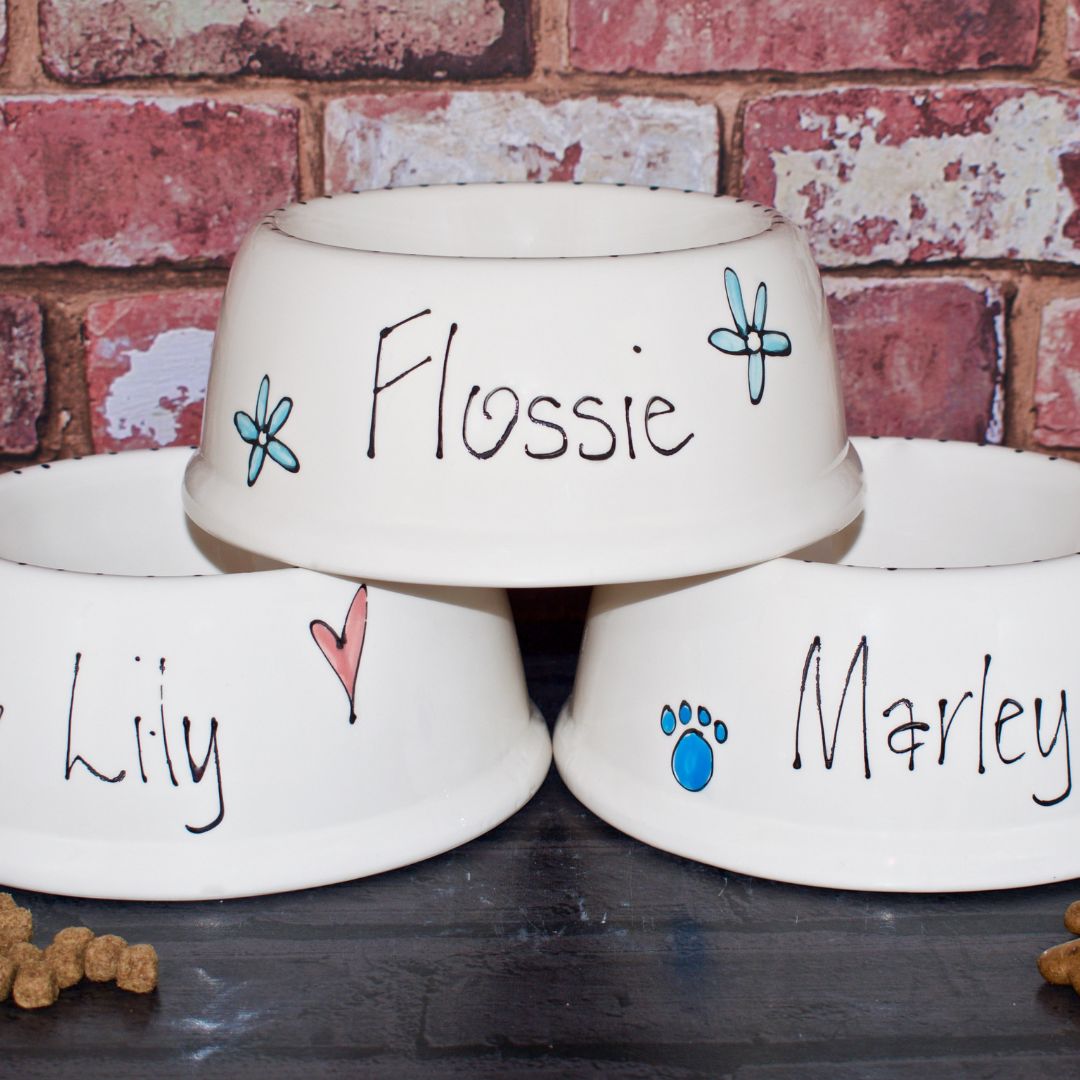 Personalised Ceramic Whimsical Dog Bowls | Crazy Fur You