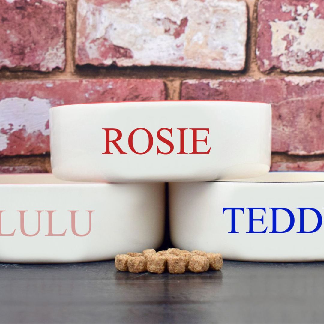 Personalised Classic Font Dog Bowls | Custom Dog Bowls