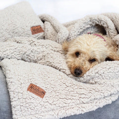 Personalised Opulence Scandi Grey Luxury Dog Bed Set by Miaboo