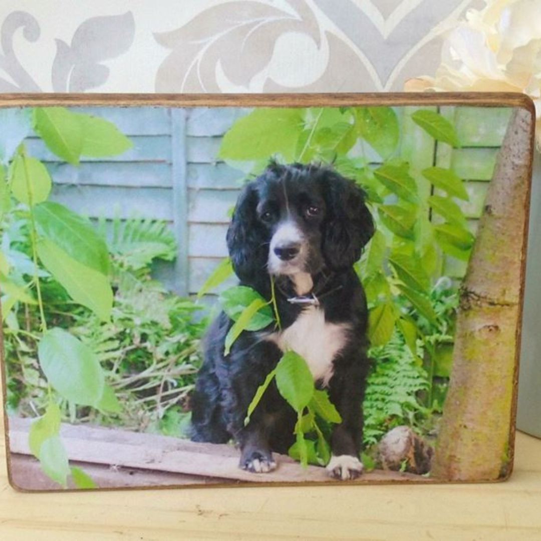 Personalised Pet Photo Block