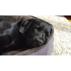 Personalised Slate Grey Fleece Cradle Dog Bed