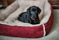 Personalised Winterberry Red Fleece Cradle Dog Bed