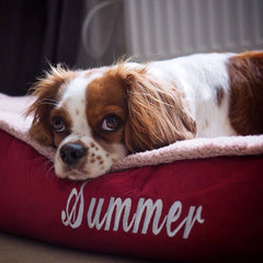 Personalised Winterberry Red Fleece Cradle Dog Bed