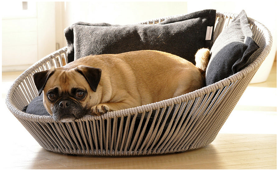 Luxury Orthopedic Memory Foam dog bed Pet Interiors Siro Twist