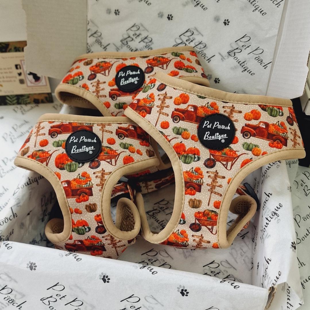 Pumpkin Patch Cart Dog Harness