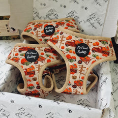 Pumpkin Patch Cart Dog Harness