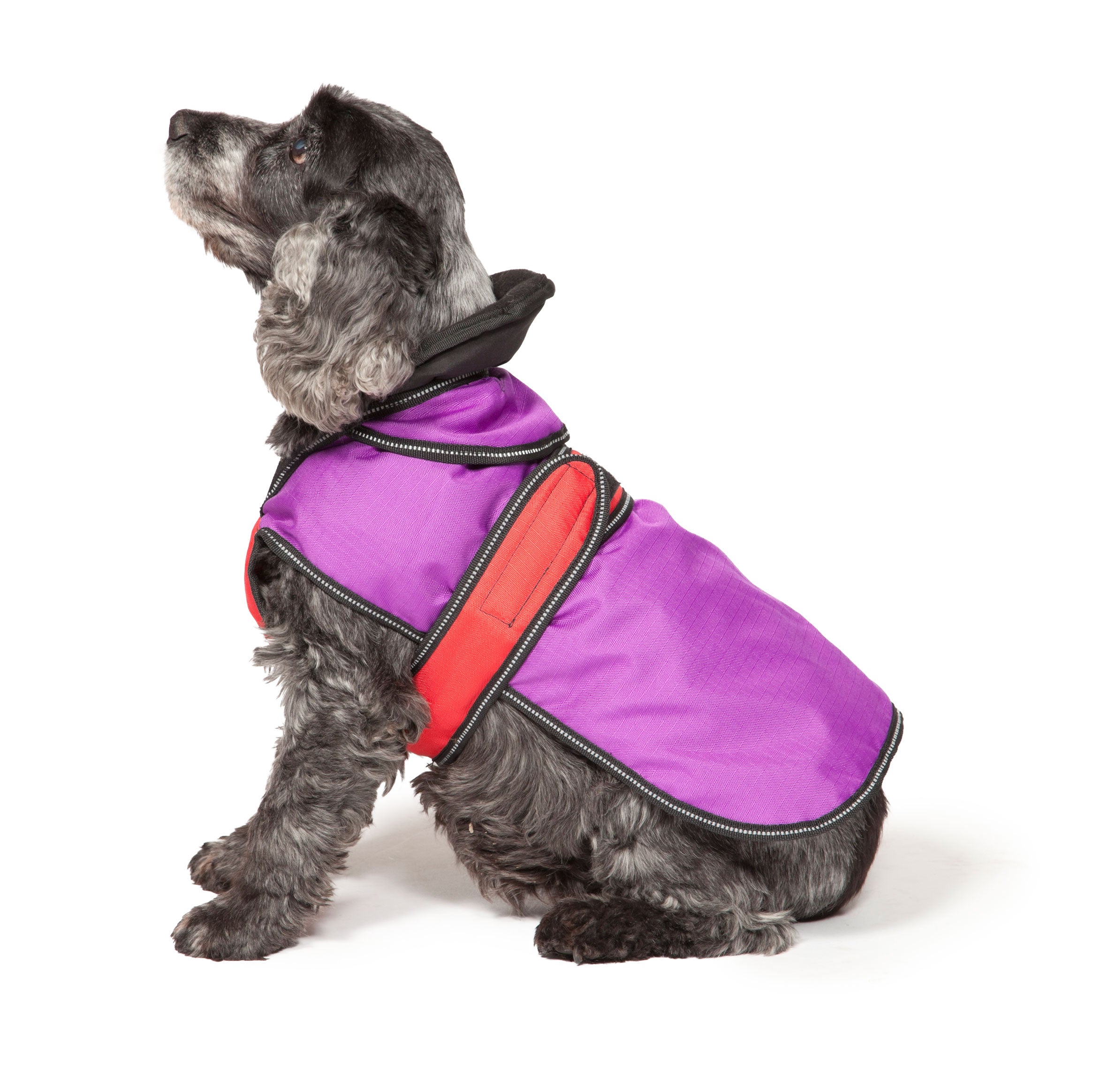 The Ultimate 2 in 1 Waterproof Dog Coat Purple And Red by Danish Design