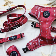 Red Titan Dog Collar