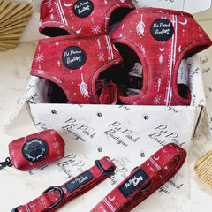 Red Titan Dog Collar