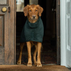 Ruff And Tumble Dog Drying Coat Forest