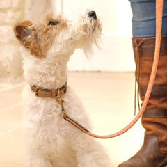 Sandstone Tweed & Leather Dog Collar | Mutts & Hounds