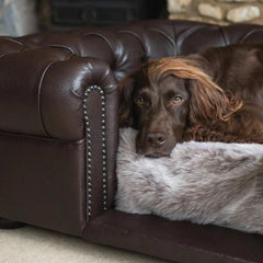 Scott's of London Balmoral Dog Chesterfield Brown Real Leather