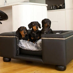 Scott's of London Sandringham Dog Chesterfield Black Real Leather