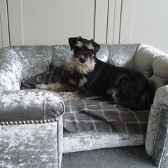 Scott's of London Sandringham Dog Chesterfield Silver Crushed Velvet