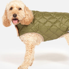 Showerproof Quilted Dog Coat Green by Danish Design