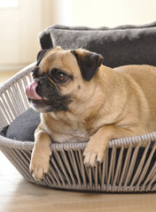 Luxury Orthopedic Memory Foam dog bed Pet Interiors Siro Twist