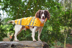 Waterproof Sunshine Dog Raincoat by Sotnos
