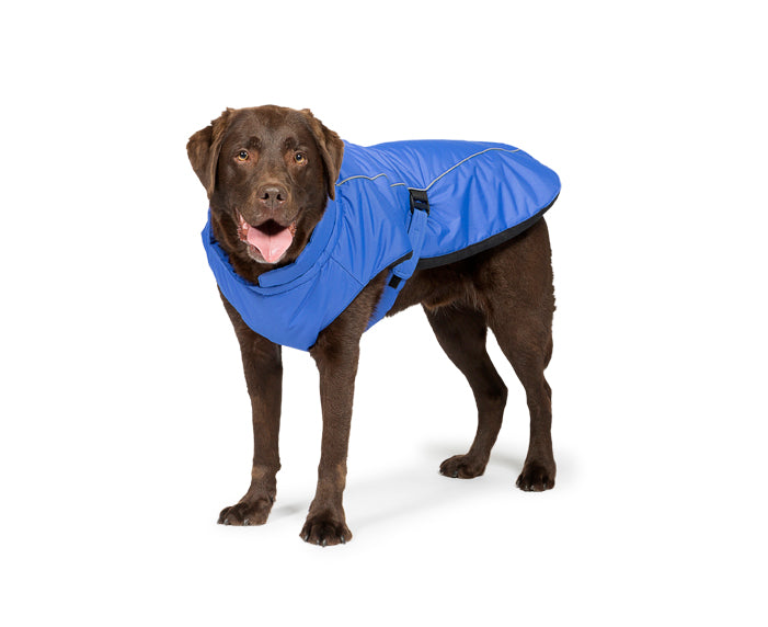 Sports Luxe Waterproof Dog Coat Blue by Danish Design