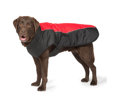 Sports Luxe Waterproof Dog Coat Black And Red by Danish Design