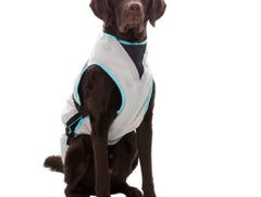 Suitical Dry Cooling Vest | Cooling Dog Coat