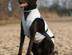 Suitical Dry Cooling Vest | Cooling Dog Coat