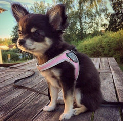 Tre Ponti Easy Fit Liberta Pink Puppy Harness with No Escape Adjustable Closure