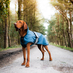 The Ultimate 2 in 1 Waterproof Dog Coat Blue | Dog Coats