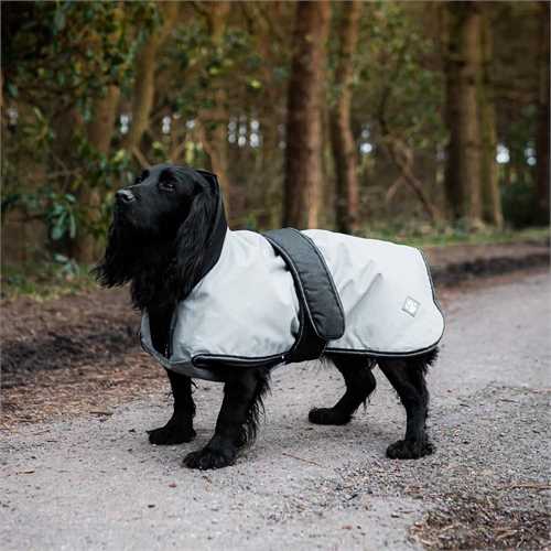 The Ultimate 2 in 1 Waterproof Dog Coat Grey