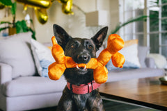 P.L.A.Y Party Animal Balloon Buddy Dog Toy