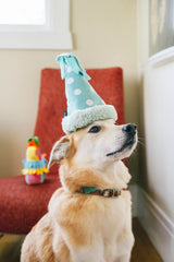 P.L.A.Y Party Animal Yappy Party Hat Dog Toy