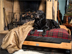 Raised Wooden Luxury Dog Bed