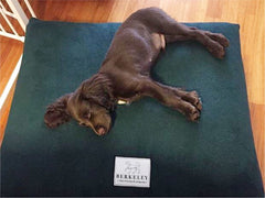 Berkeley Waterproof Orthopaedic Dog Beds Fleece Green
